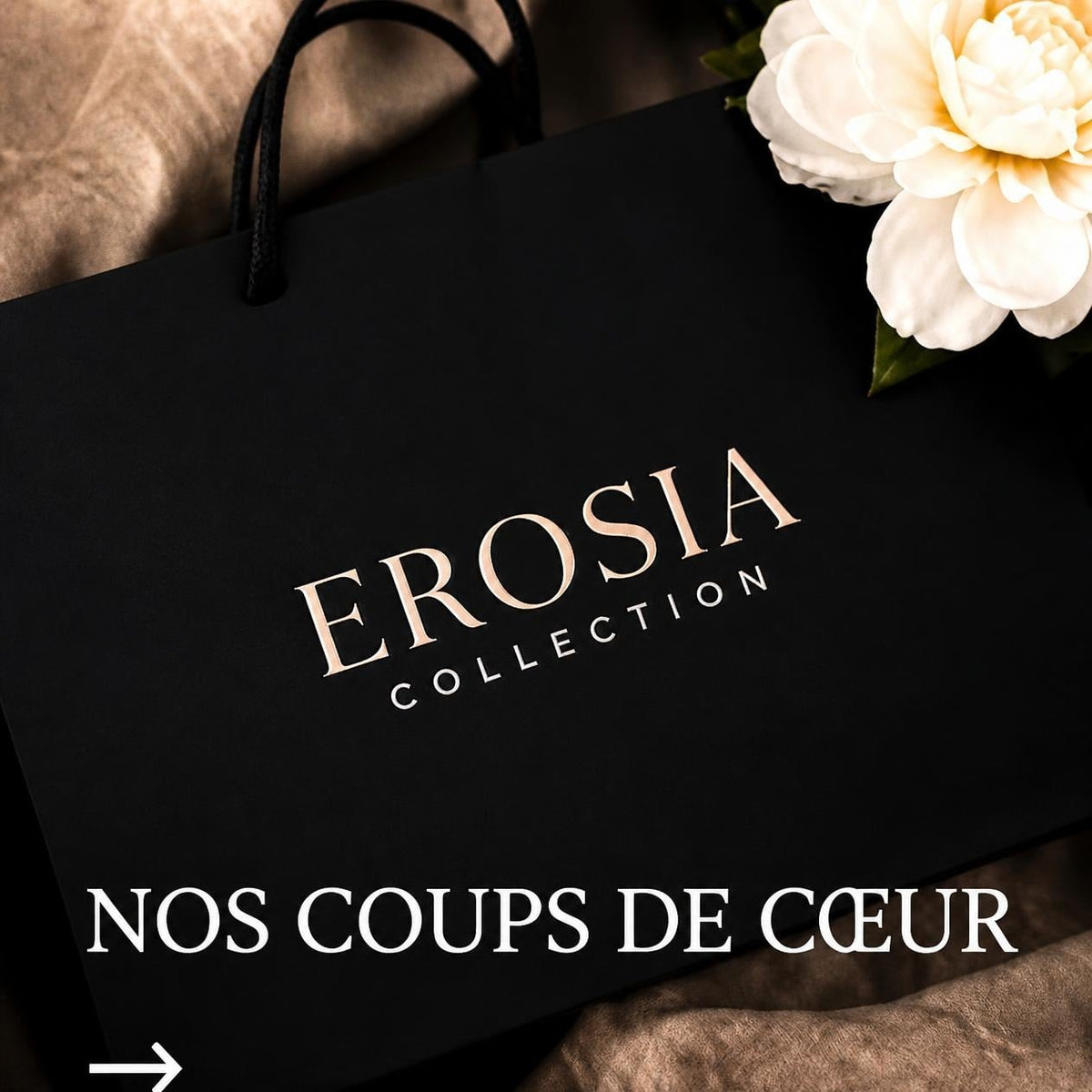 Nos coups de cœur